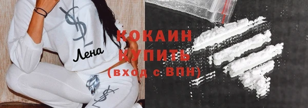 шишки Балахна