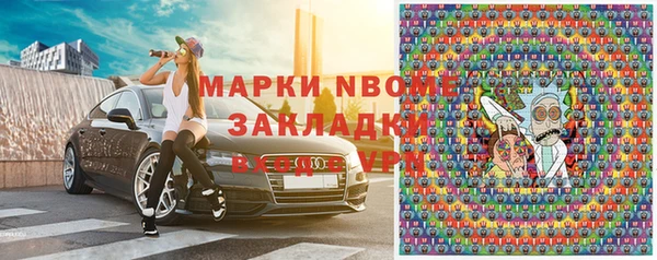 индика Баксан