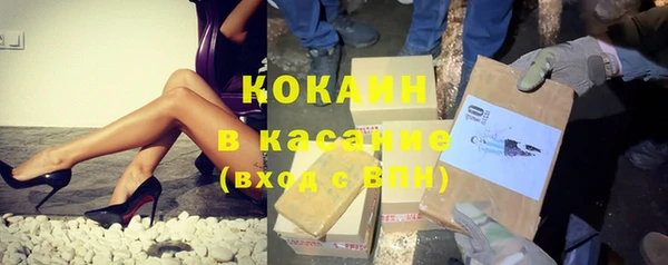 индика Баксан