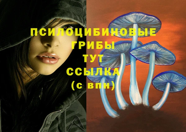 шишки Балахна