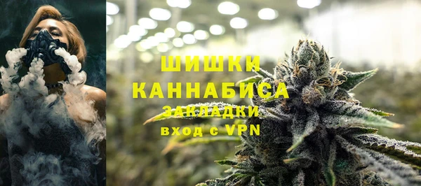 шишки Балахна