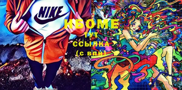 индика Баксан