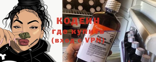 индика Баксан
