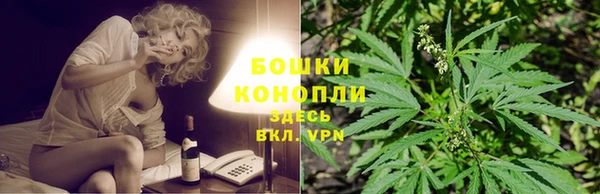 шишки Балахна