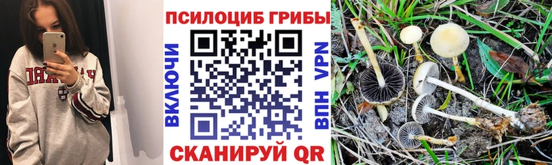 Псилоцибиновые грибы MAGIC MUSHROOMS  Вуктыл 
